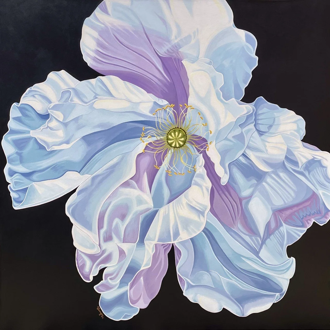 Iceland+Poppy+Dreams+by+Vanya+